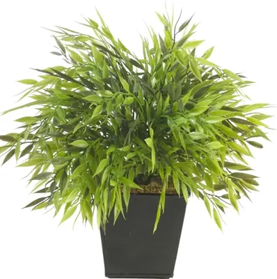 Produktbild von künstlicher Bambus, Bamboo im Topf H. 25cm grün Emerald Zimmerpflanzen