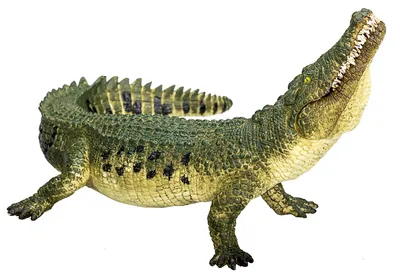 Zdjęcie produktu dla Krokodyl Animal Planet z ruchomymi szczękami