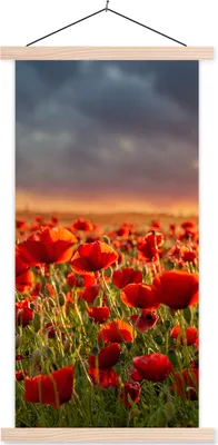 Produktbild von MuchoWow® Textilposter Sonnenuntergang - Mohnblumen - Rot - Blumen - Feld - Natur 40x80 cm mit holzfarbenen Rahmen - Wohnzimmer