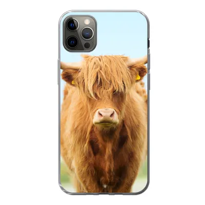 Produktbild von MuchoWow® Handyhülle Schutzhülle Hülle für iPhone 13 Pro Max Schottischer Highlander - Haare - Gras Silikon Softcase Handy Hülle - Mobiltelefon