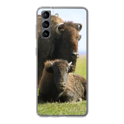 Produktbild von MuchoWow® Handyhülle Schutzhülle Hülle für Samsung Galaxy S21 Büffel - Gras - Kalb Silikon Softcase Handy Hülle - Softcase