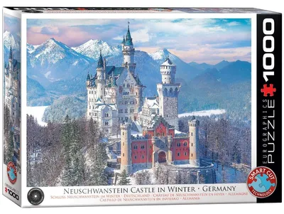 Image de Château de Neuschwanstein en hiver
