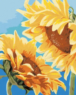 Produktbild von Zuty - Malen nach Zahlen - ZWEI SONNENBLUMEN (MYROSLAVA VOLOSCHUK), 40x50 cm, mit Keilrahmen (bereits gespannt)
