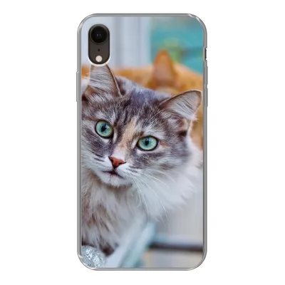 Produktbild von MuchoWow® Handyhülle Schutzhülle Hülle für iPhone XR Katze - Fenster - Katzen Silikon Softcase Handy Hülle - Schutzdeckel