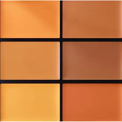 Image de Pro Conceal and Correct Palette 6 g, Medium Deep