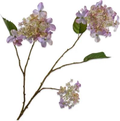Produktbild von Kunstblume von Silk-ka – Seidenblumen-Hortensienzweig, weiß-lila, 99 cm