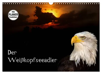 Produktbild von Der Weißkopfseeadler (Wandkalender 2027 DIN A3 quer), CALVENDO Monatskalender