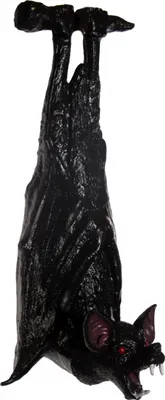 Produktbild von Schwarze herunterhängende Fledermaus mit Vampirzähnen 47 cm