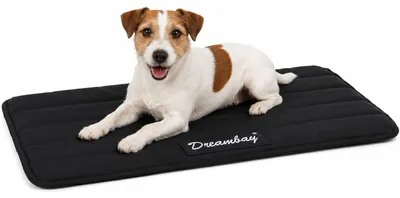 Produktbild von Flamingo hundebett - katzenbett orthopädisch Dreambay® schwarz - orthopädisches
