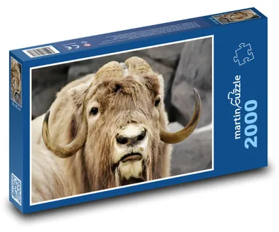 Obrázek produktu pro Puzzle 2000 Pižmoň v divočině - martinpuzzle