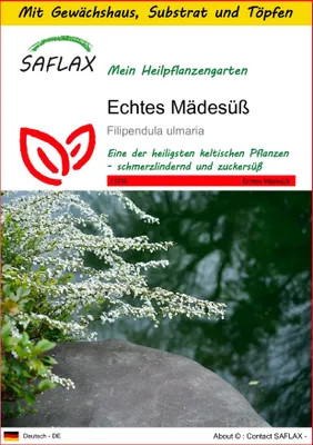 Produktbild von SAFLAX Anzucht Set - Echtes Mädesüß - Filipendula ulmaria - 500 Samen - Mit Mini-Gewächshaus, Anzuchtsubstrat und 2 Töpfen