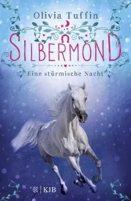Immagine prodotto di Silbermond 2: Eine stürmische Nacht