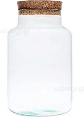 Produktbild von Terrarium mit Kork - Milky - Geschlossenes Terrarium ↑30 cm