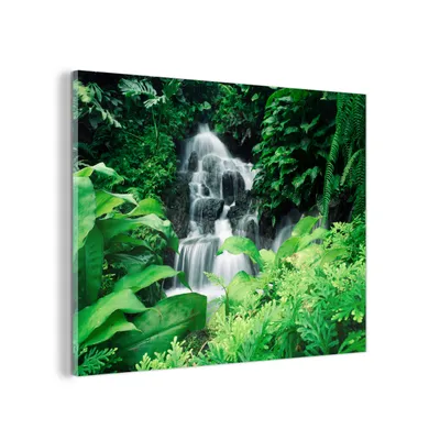 Obrázok produktu pre MuchoWow® Sklenené obrazy - Obrazy na stenu - Foto na skle Vodopád v botanickej záhrade 80x60cm Nástenná dekorácia zo skla - akrylový sklenený obraz - akrylové
