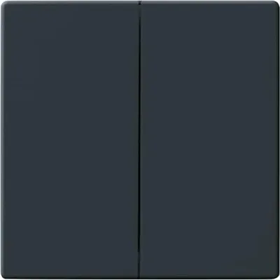 Zdjęcie produktu dla Busch-Jaeger 1751-0-2930, Przyciski, Antracyt, 63 mm, 63 mm, 1 szt.