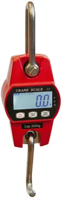 Produktbild von Format1 OCS-60, Digitale Hängewaage 60 kg
