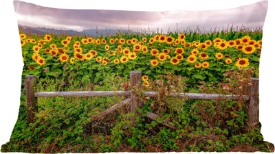 Produktbild von MuchoWow® Zierkissen Sofakissen Wohnzimmer Dekokissen 60x40 cm Sonnenblume - Blumen - Pflanzen - Kopfkissen - Polster mit Foto