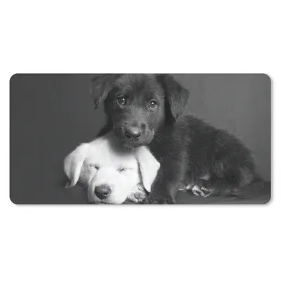 Produktbild von MuchoWow® Mauspad Mousepad Hunde - Welpe - Schwarz - Weiß - Tiere 60x30 cm - Mousepads - Maus Mat - Pad - Mausunterlage - Nachhaltig