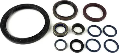 Image de Jeu de joints d'huile de boîte ZF 1315298002, 1329624, 81965026086