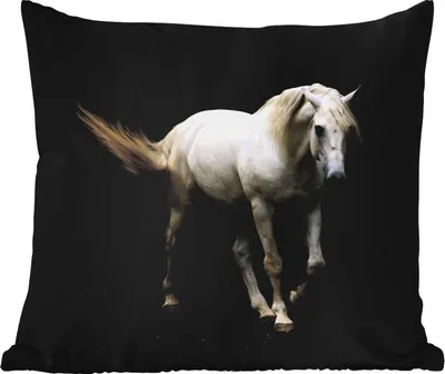 Produktbild von MuchoWow® Outdoor Kissen - Pferde - Nutztiere - Schwarz - 50x50 cm - Wetterfest - Lounge Kissen - Komfortabel - Kissen mit Bild