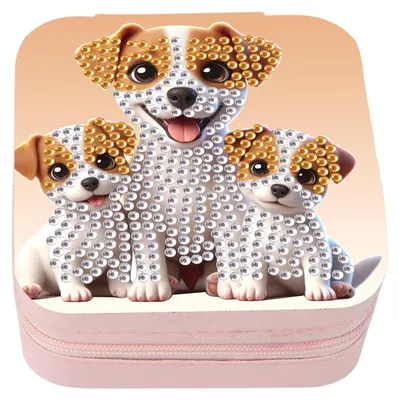 Obrázek produktu pro Malé organizéry na šperky pro ženy