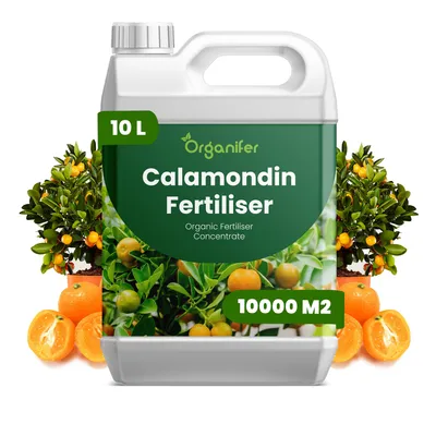 Obrázek produktu pro Calamondin Tekuté Hnojivo 10 L – 2-1-8 NPK – Pro Citrusové Rostliny – Pro Bujné Květy & Tvorbu Plodov – Podporuje Kořeny & Vitalitu – Organifer