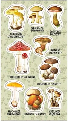 Image de Autocollants sur les champignons vénéneux