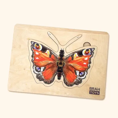 Obrázok produktu pre Drevené puzzle - Vývoj motýľa
