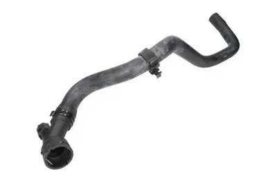 Produktbild von THERMOTEC Kühlerschlauch Wasserschlauch für VW Golf IV Schrägheck (1J1) DWW045TT