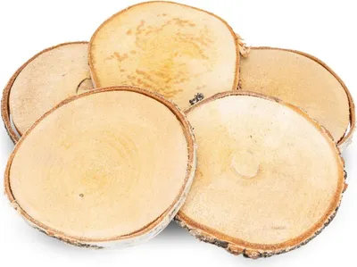 Produktbild von Birkenscheiben Ø ca.12 - 14 cm, 5 Stück, Stärke 1 cm | Holzscheiben