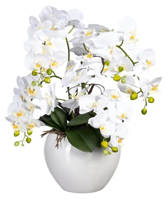 Produktbild von Kunstpflanze Phalaenopsis Höhe: 56 cm weiß
