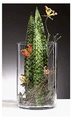 Produktbild von Glasvase Cyli zylindrisch klar 40 cm Ø 25 cm