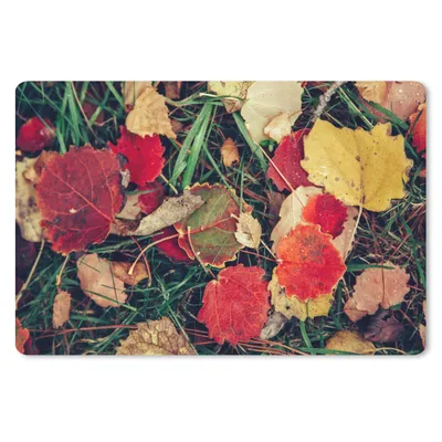 Produktbild von MuchoWow® Mauspad Mousepad Blätter - November - Herbst - Natur 27x18 cm - Mousepads - Maus Mat - Pad - Mausunterlage - Büroartikel - Desk Matten