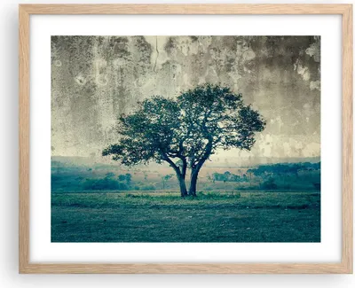 Produktbild von Gerahmtes Poster - Rahmen in heller Eiche - Baum Natur Feld - 50x40 cm - Wand Bild - Wanddeko - Wandbilder - Kunstposter - Wandposter - Bilderrahmen - Bilder - Kunstdruck - Wandbild - P2NAA50x40-3627