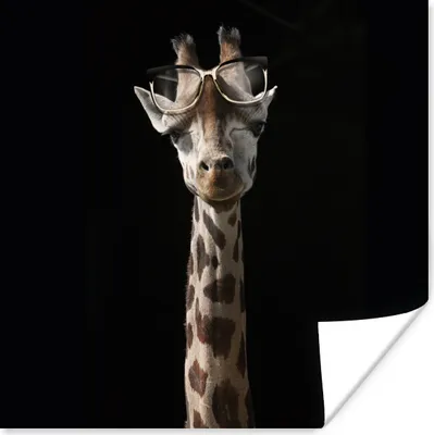 Produktbild von MuchoWow® Poster Giraffe - Brille - Schwarz 50x50 cm - Wohnzimmerdekoration
