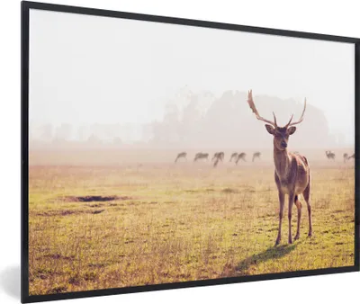 Produktbild von MuchoWow® MuchoWow® Gerahmtes Poster Hirsche - Geweihe - Gras 60x40 cm - Poster mit zchwarzem Bilderrahmen - Printing - Wanddeko Schlafzimmer