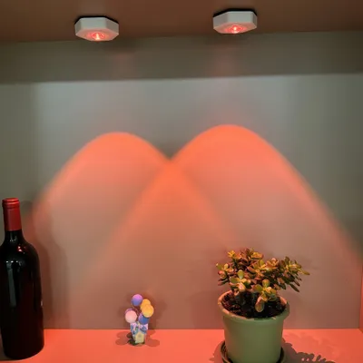 Two LED lights are mounted on a ceiling, casting red light onto a wall. Below, on a shelf, are a bottle of red wine, a small figurine of balloons, and a potted plant.