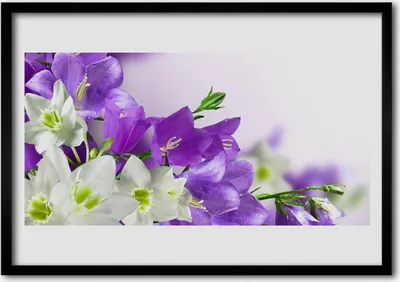 Produktbild von Bild 70x50 MDF-Rahmen Wandkunst Blumen Pflanzen