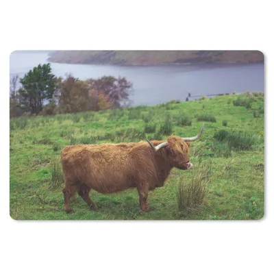 Produktbild von MuchoWow® Mauspad Mousepad Schottische Highlander - Gras - Wasser - Tiere 27x18 cm - Mousepads - Maus Mat - Pad - Mausunterlage - Büroartikel - Desk Matten