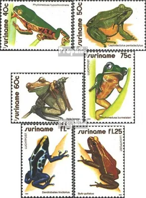 Produktbild von Briefmarken Suriname 1981 Mi 948-953 (kompl.Ausg.) postfrisch Froschlurche