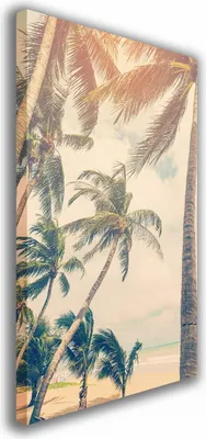 Zdjęcie produktu dla OBRAZ NA PŁÓTNIE 076 Palmy 60x90cm