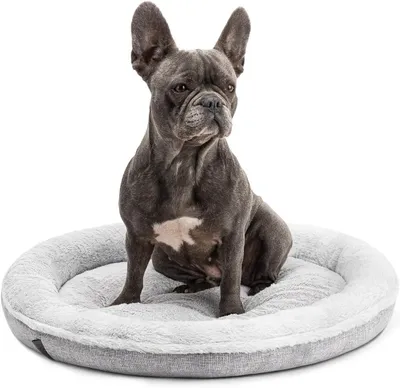 Image de Lit pour chien, 65 cm, housse lavable, antidérapant, gris, pour chiens