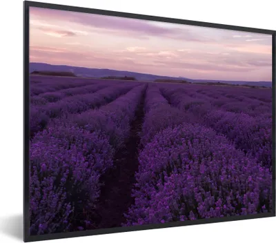 Produktbild von MuchoWow® Gerahmtes Poster Lavendel - Lila - Blumen - Natur 40x30 cm - Poster mit Schwarzem Bilderrahmen Wandposter Rahmen Foto Bilder - Kunstposter - Wanddekorationen