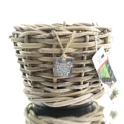 Produktbild von VAN DER LEEDEN DRYPOT® Rattan Pflanzgefäß Grau Ø ca. 20 cm - Sylter Körbe