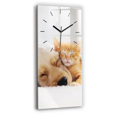 Produktbild von Wallfluent Wanduhr – Stilles Quarzuhrwerk - Uhr Dekoration Wohnzimmer Schlafzimmer Küche - Zifferblatt mit Strichen - schwarze Zeiger - 30x60 cm - Schläfrige Katze und Hund