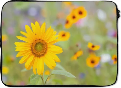 Produktbild von MuchoWow® Laptop Hülle 13 Zoll Blumen - Sonnenblume - Gelb Laptoptasche - Laptophülle - Sleeve - Rundumschutz