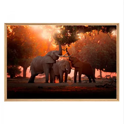 Image de Tableau mural mat encadré famille elephant 65x97 cm, Tableau mural moderne pour décoration intérieure