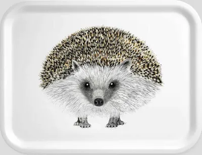 Image de Charlotte Nicolin plateau petit Henry, support, hérisson, bois de hêtre laminé, 20 x 27 cm, TRSM8751