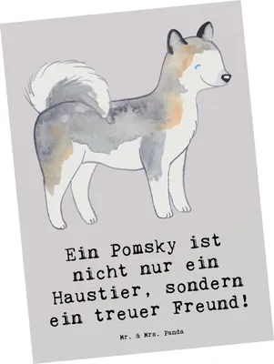 Produktbild von Mr. & Mrs. Panda Postkarte Pomsky Freund - Grau Pastell - Geschenk, Hunderasse, Loyalität, Ansichtskarten, bildkarte, einzelkarte, Hundeliebhaber, Grußkarte, Familienhund