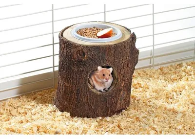 Image de Nid En Bois Véritableavec Écuelle, 15 Cmnager